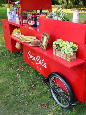 Multifunktioneel Koffiewagens Voedseltrailer Mobiele Voedselwagens IJs Cream Mini Food Truck