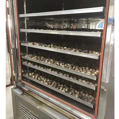 2022 Binnenlands dorp actief vraag Zwarte knoflook fermentatie machine met lage investering