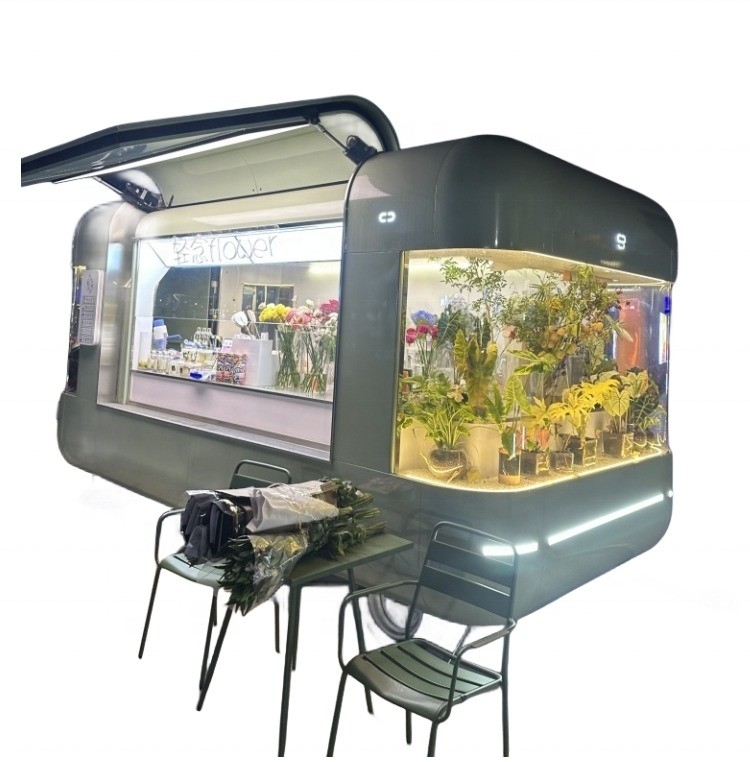 Fastfood Truck in Ghana Straat Mobiele catering Elektrische hotdog ijs Foodtruck