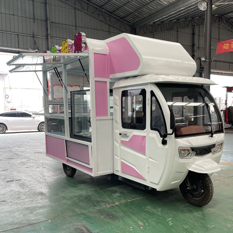 110v/220v Spanningsboerderijen Multifunctioneel Mobiele Elektrische Fast Food Snack Driewieler Pedicab