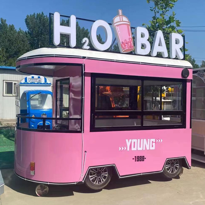 110v/220v Spanning 2022 Mobiele Voedsel Snack IJs IJs Koeldrank Koffie Melk Thee Van Truck Trailer Boutique
